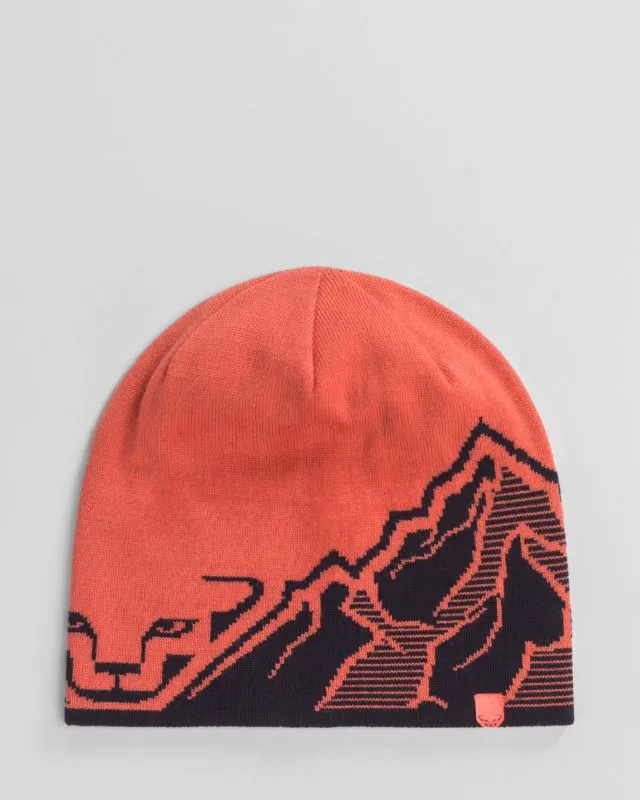 Berretto DYNAFIT GRAPHIC BEANIE